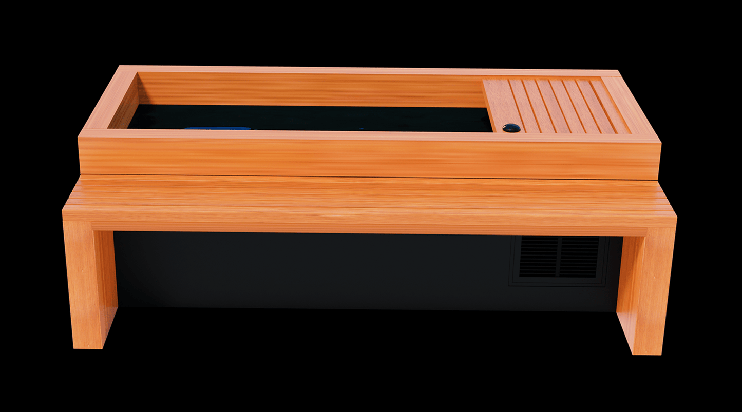 Frozen 2™ Cold Plunge