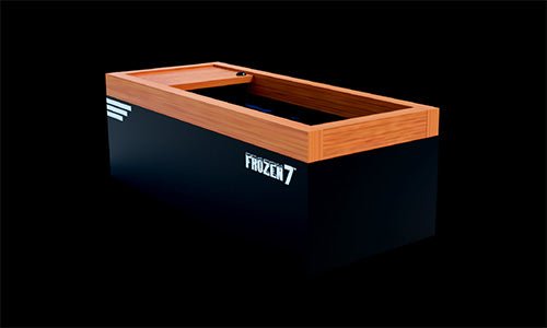 Frozen 1  Cold Plunge