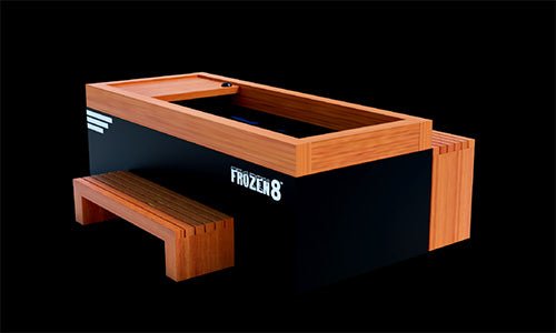 Frozen 2  Cold Plunge